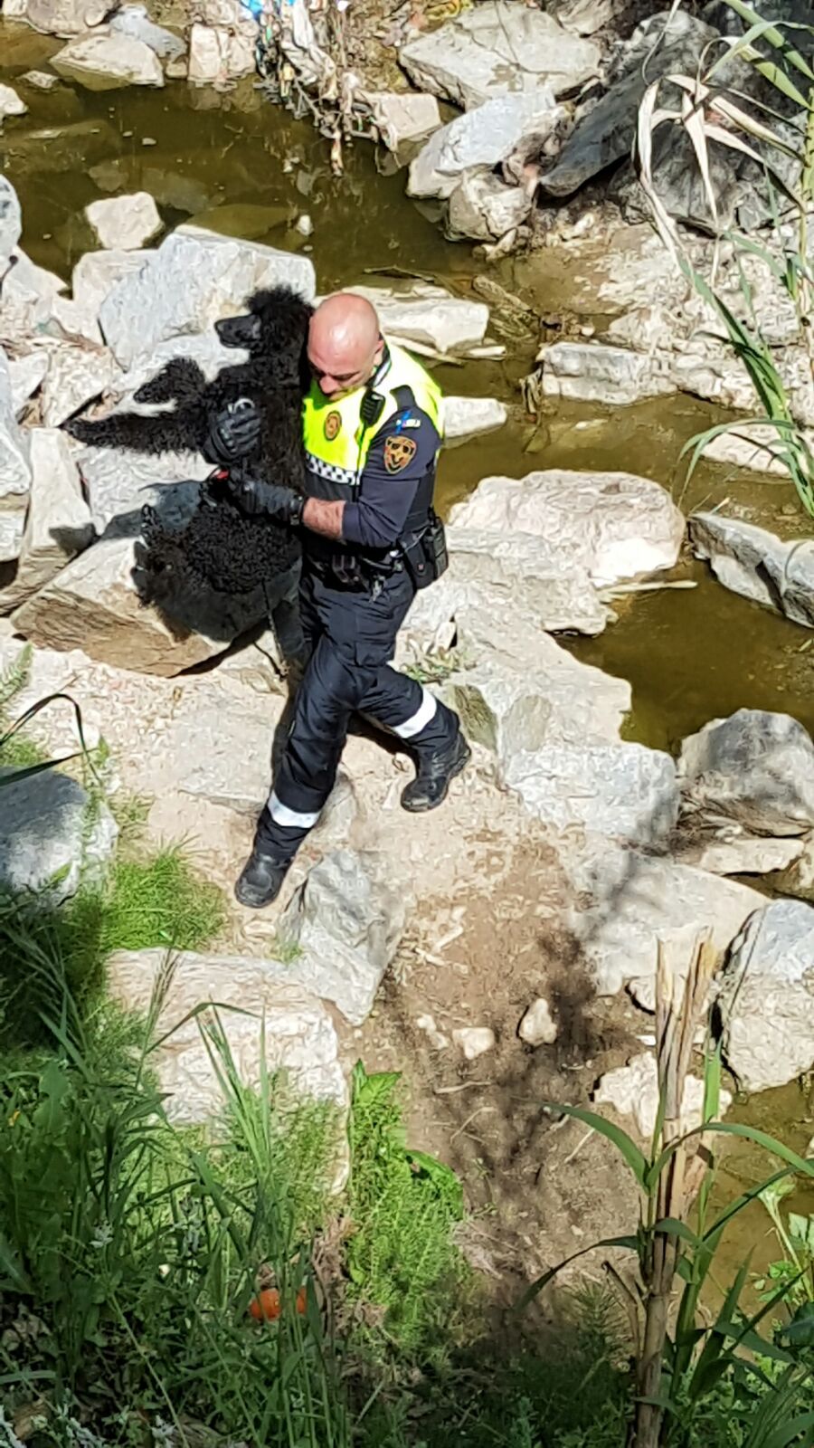 Moment del rescat FOTO: Manel Cervants