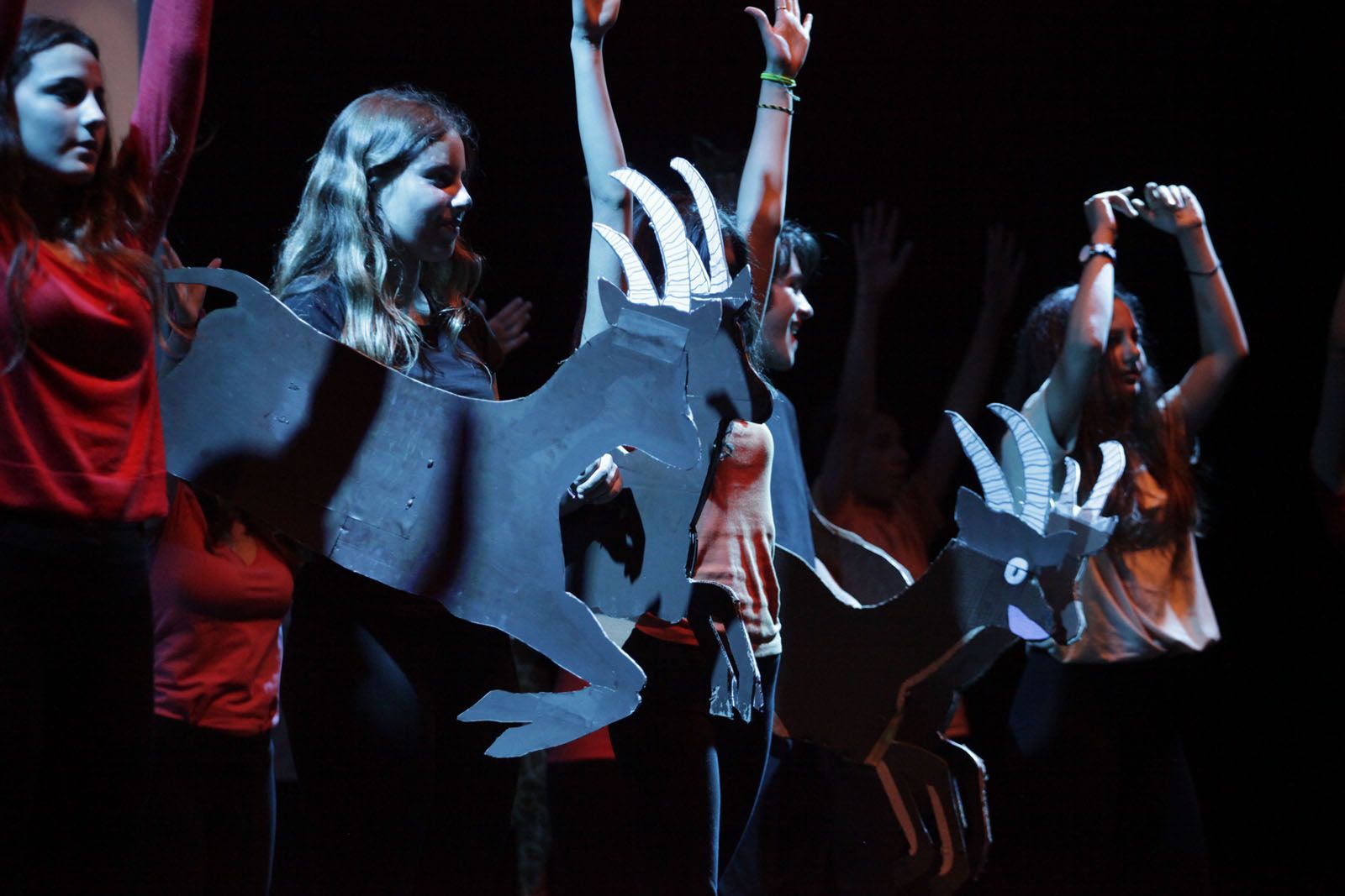 L'obra representada ha estat 'El Rei lleó'. FOTO: Artur Ribera