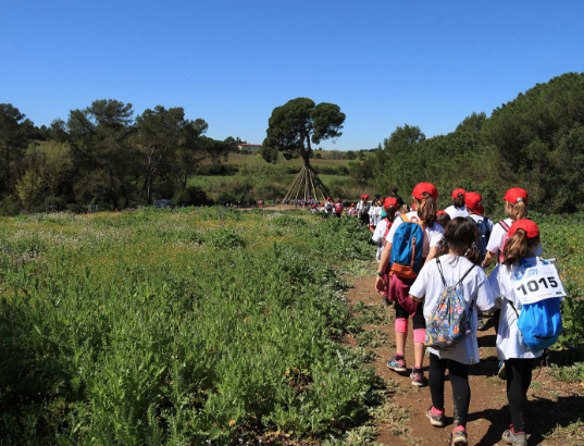 Més de 2.000 infants van participar a la 59a edició de la Marxa Infantil FOTO: Lali Álvarez 