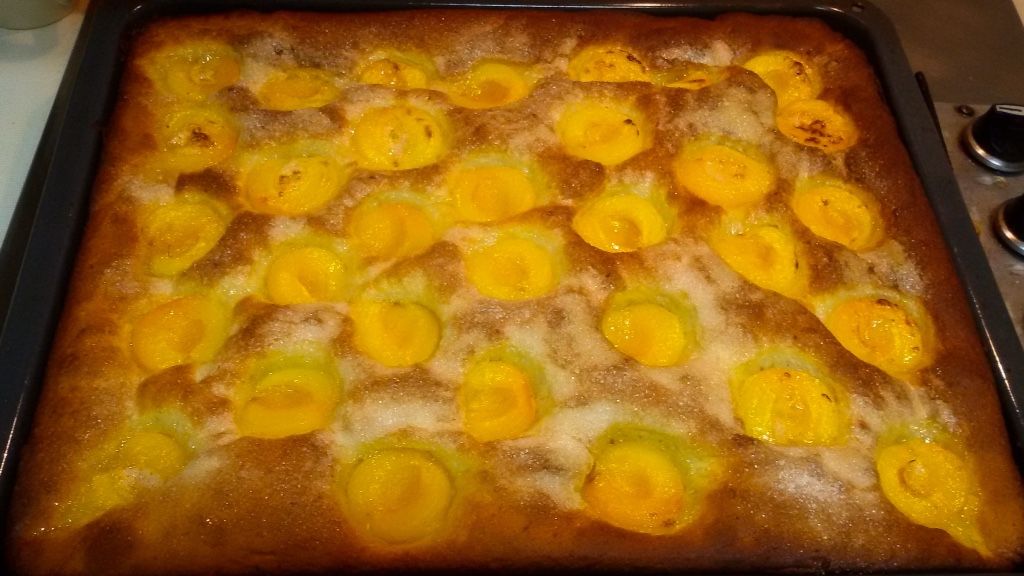 Imatge del púding d’albercoc FOTO: Cedida