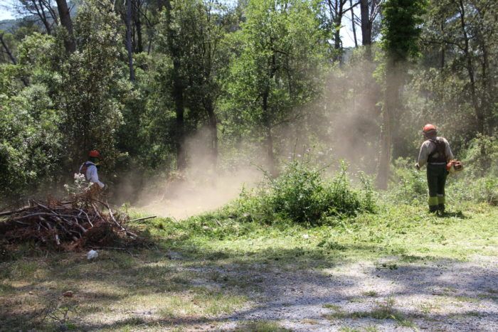 Tasques de desbrossament a Valldoreix FOTO: EMD Valldoreix