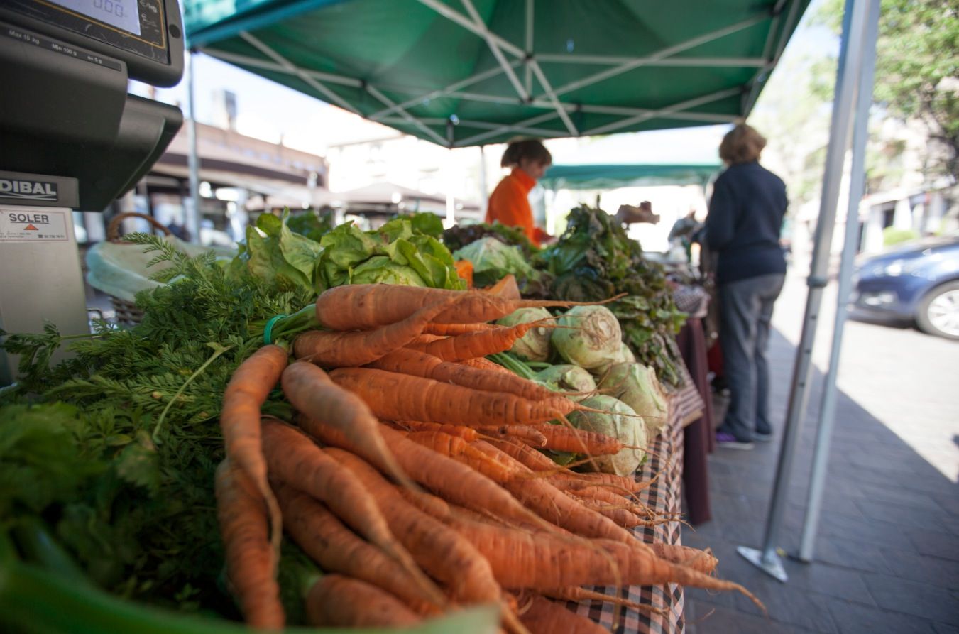 Aquest dissabte, 27 de maig, Mercat de Pagès. FOTO: Lali Puig 