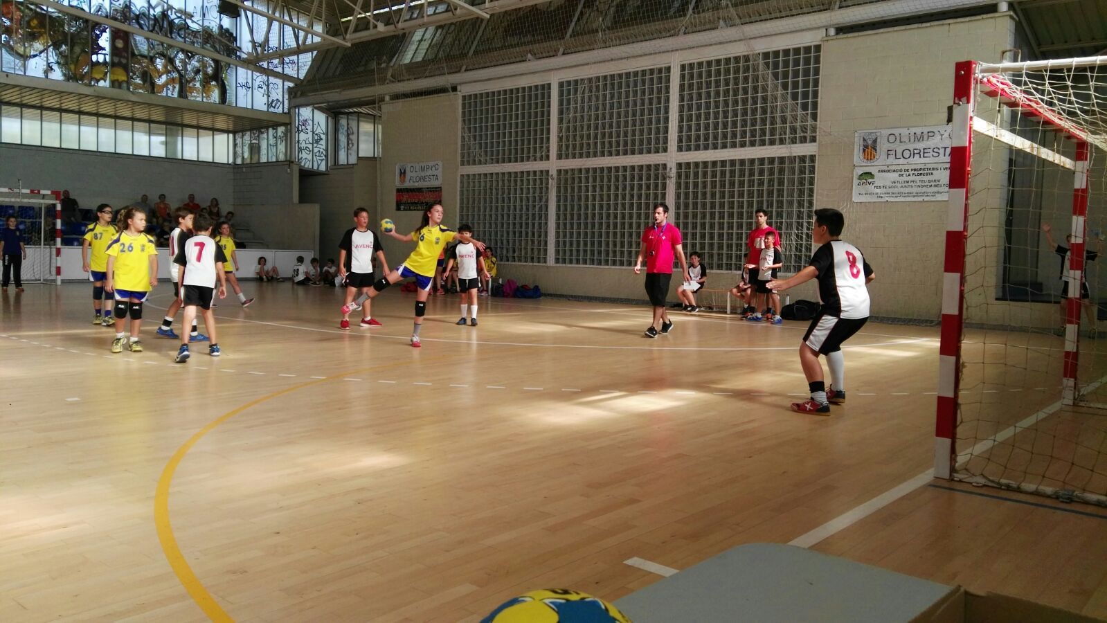 Torneig d'handbol de categories base. FOTO: OMET