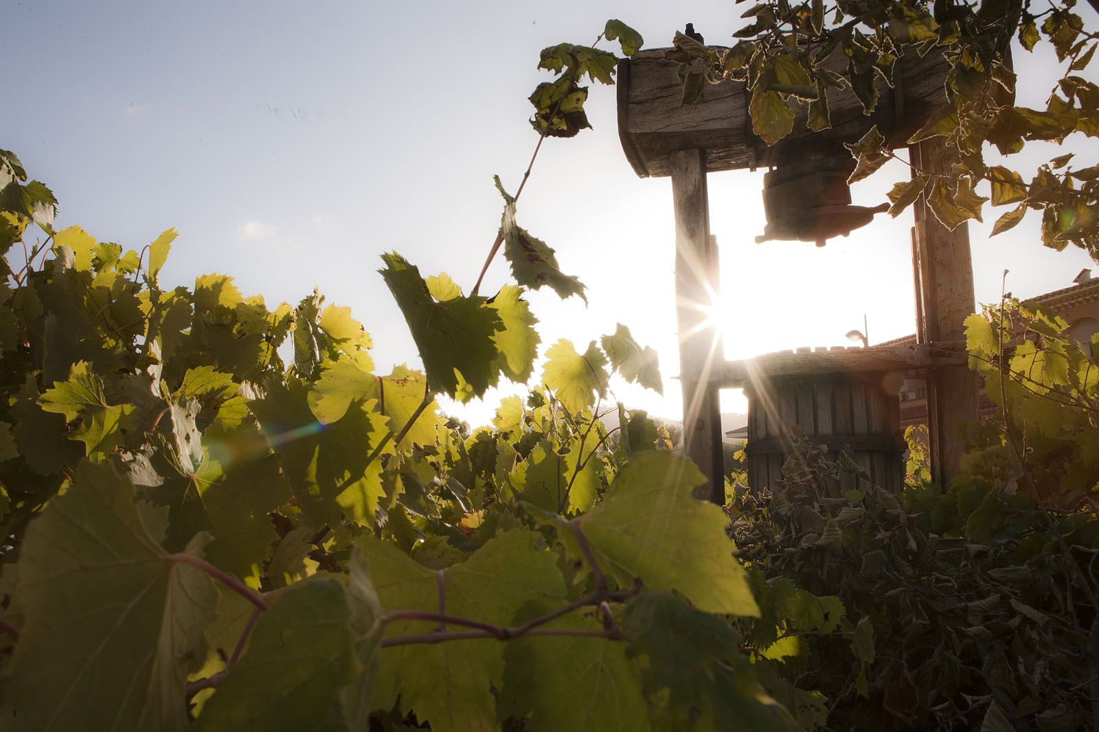 La calor serà la protagonista de la setmana FOTO: Artur Ribera 