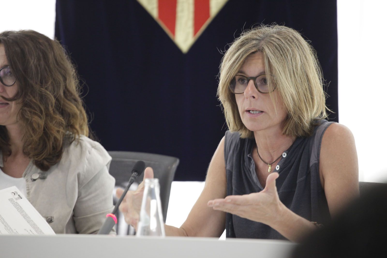  El Ple a continuat després que la ciutadania parlés