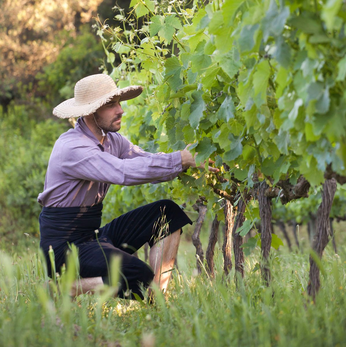 Portada de la tercera edició del Món Sant Cugat