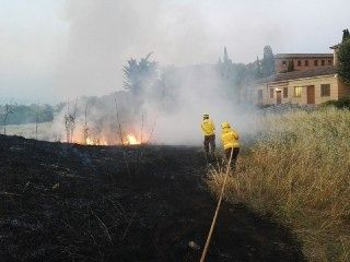El foc a tocar del passeig d'Antoni Gaudí s'ha declarat passades les 21 hores  FOTO: Cedida