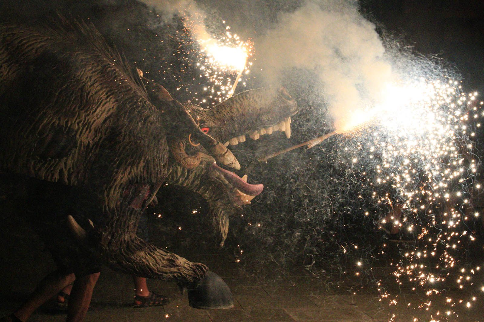 Seguici nocturn. Foto: Lali Álvarez