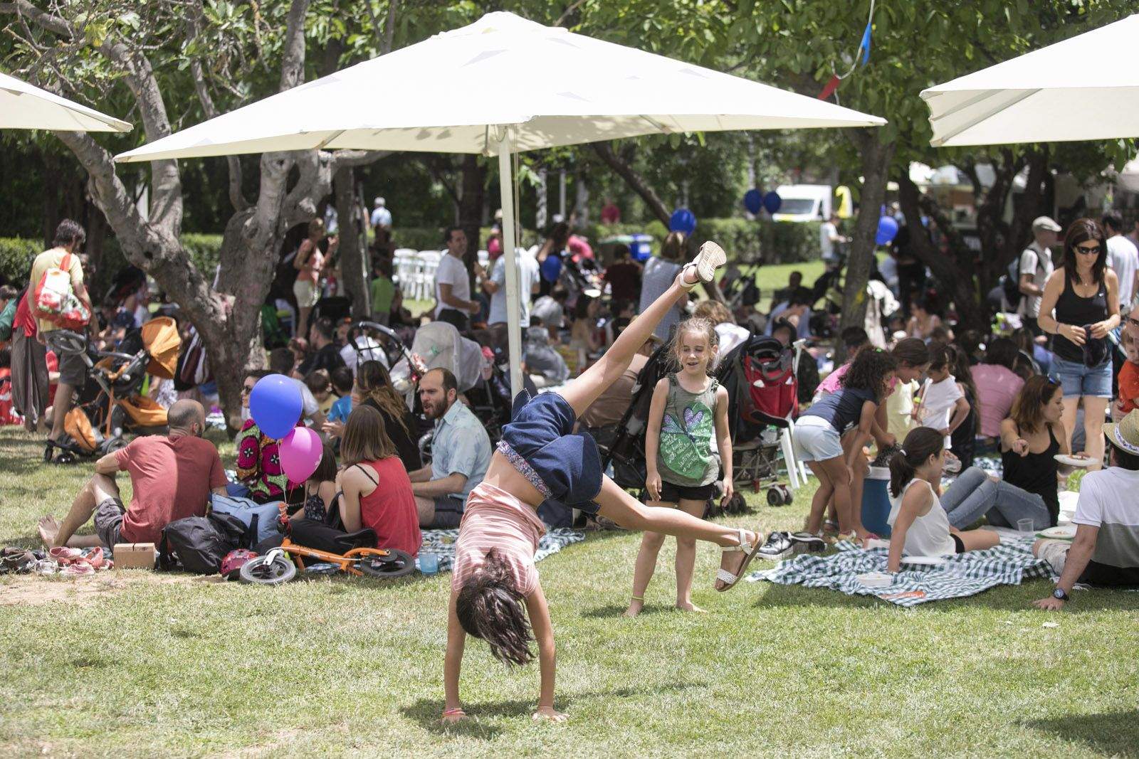 6a Estovallada  Pícnic musical + food trucks al Parc Central   Espai Food&Fun. FOTO  Lali Puig 