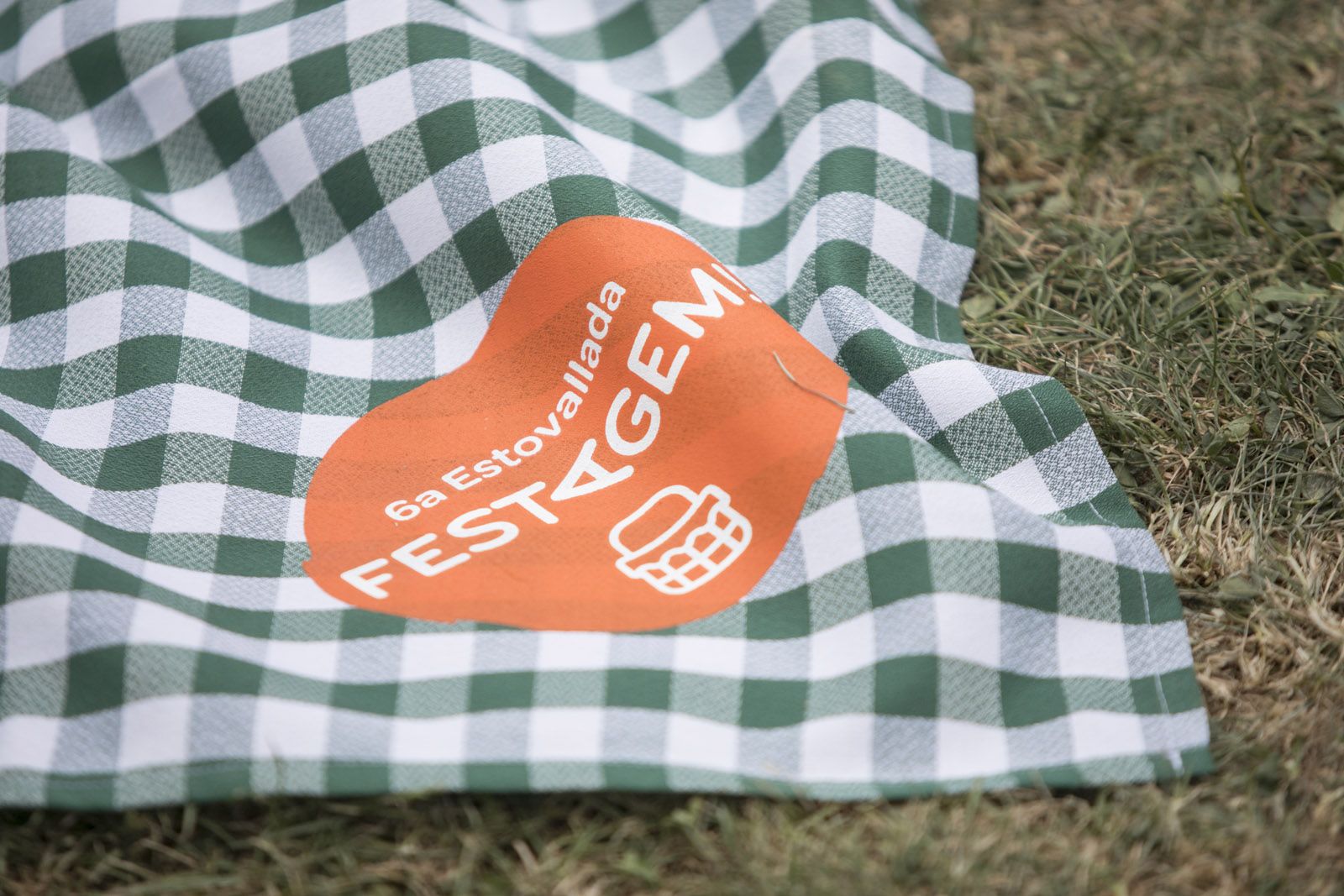 6a Estovallada: Pícnic musical. FOTO: Lali Puig