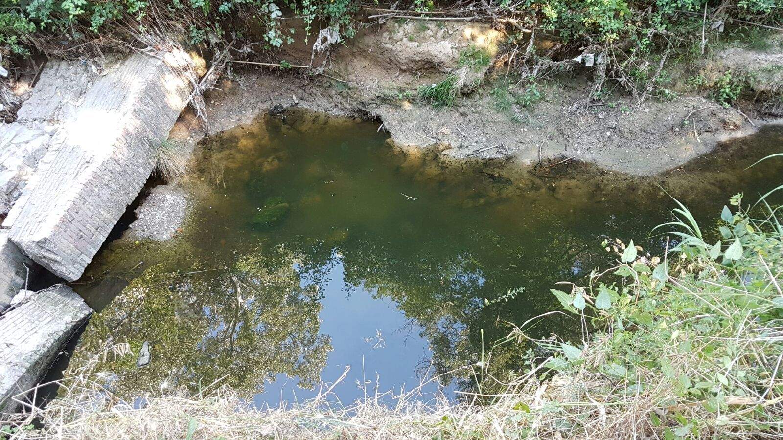 Estat de la riera. FOTO: Manuel Cervantes