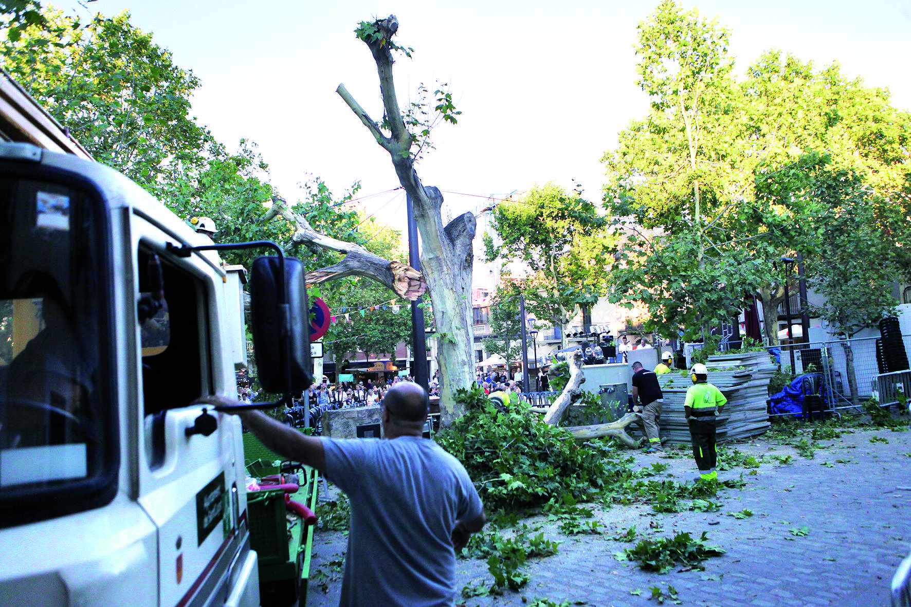 L'arbre es va trencar coincidint amb el primer dia de Festa Major FOTO: Artur Ribera 