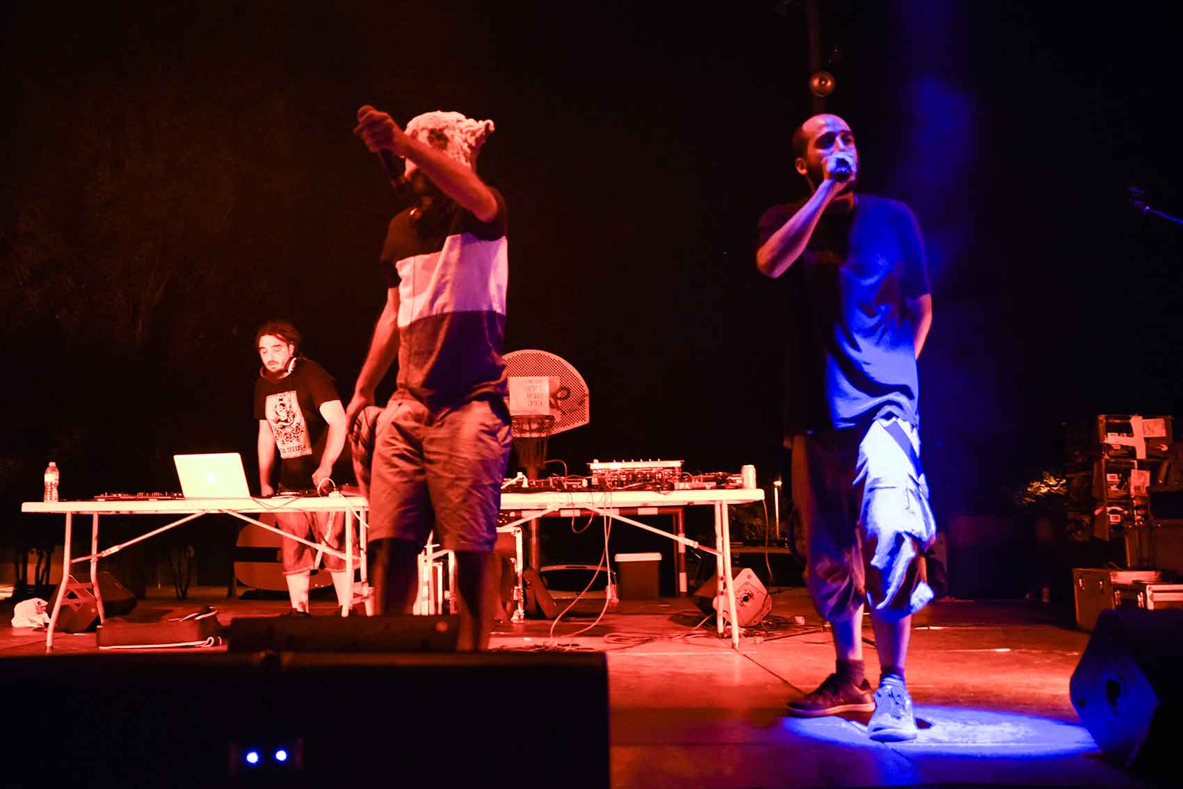 Nit jove de Mira-sol. Foto: Bernat Millet