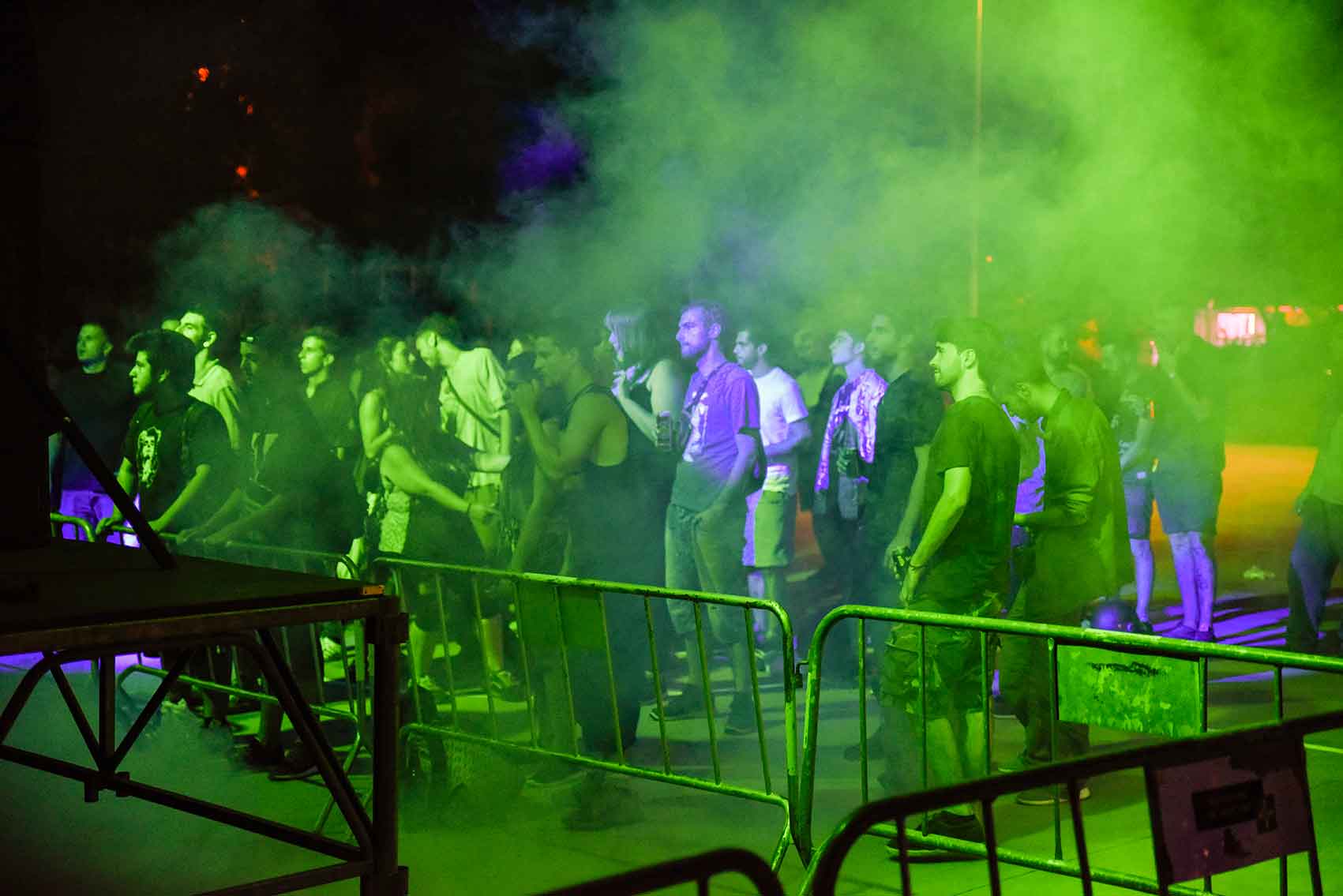 Nit jove de Mira-sol. Foto: Bernat Millet