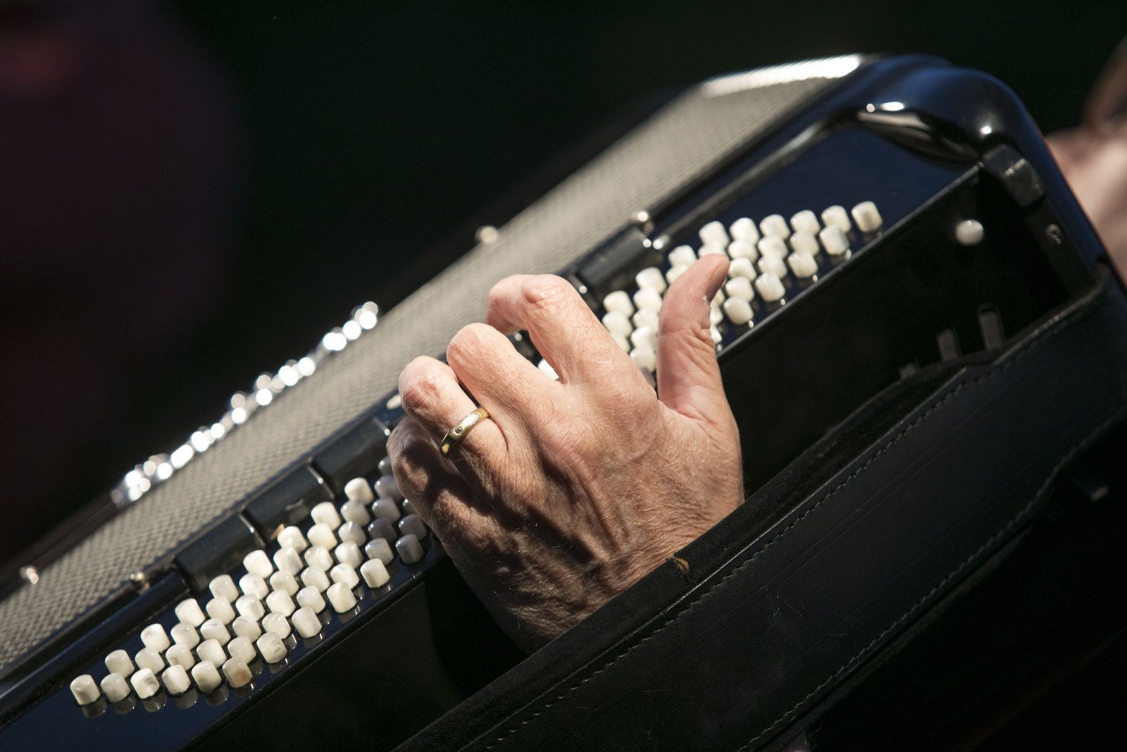 Havaneres i rom cremat al Casal de Mira-sol. FOTO: Lali Puig