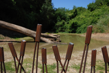 La tanca metàl·lica protegeix l'àmbit de la bassa  FOTO: Parc de Collserola