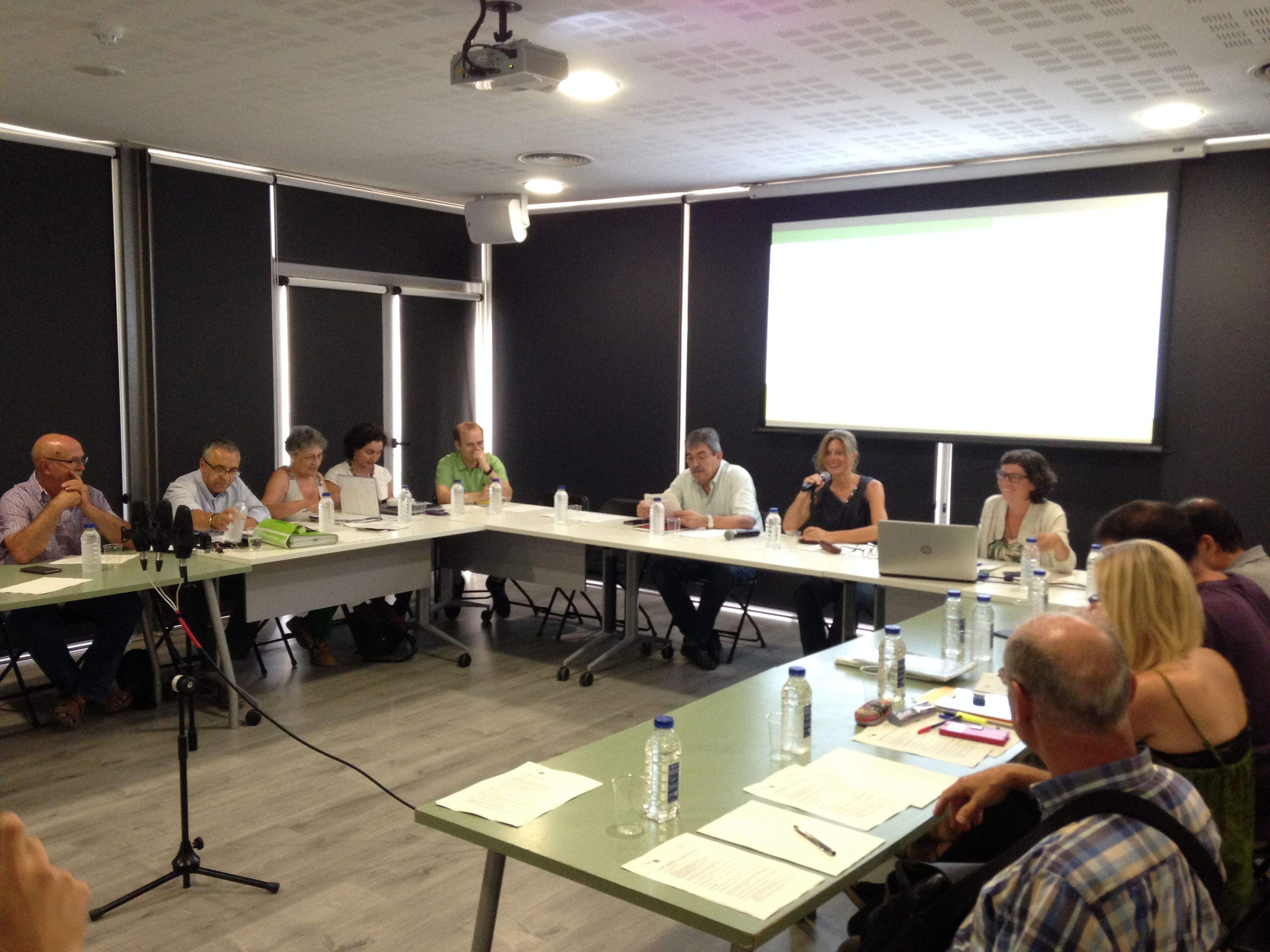 El Consell Extraordinari se celebrava aquest 19 de juliol  FOTO: C. Caballé