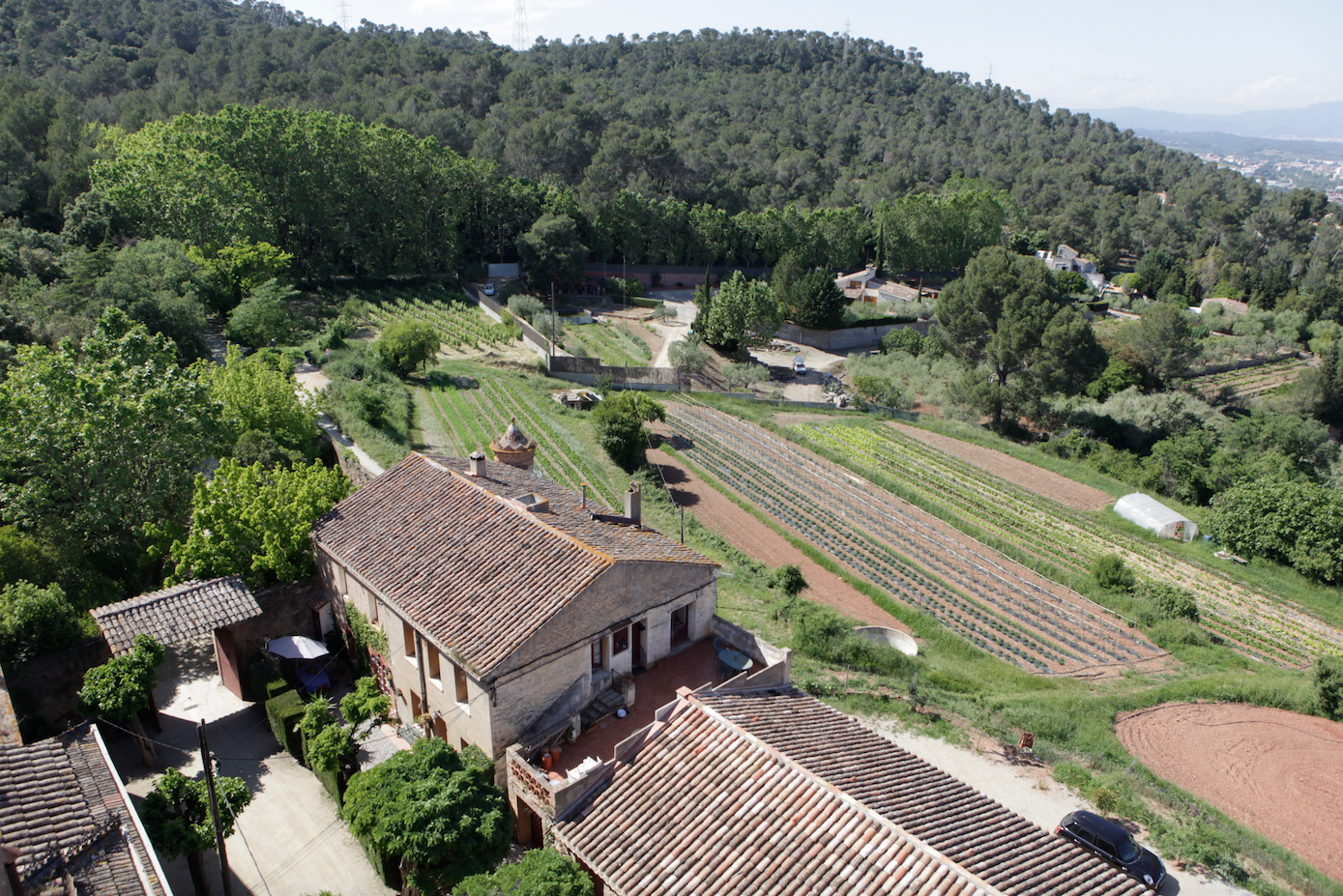 La masia de Can Monmany compta amb uns 200 ceps FOTO: Artur Ribera