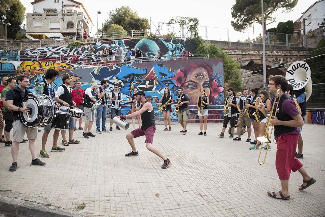 Cercatasques. Foto: Bernat Millet