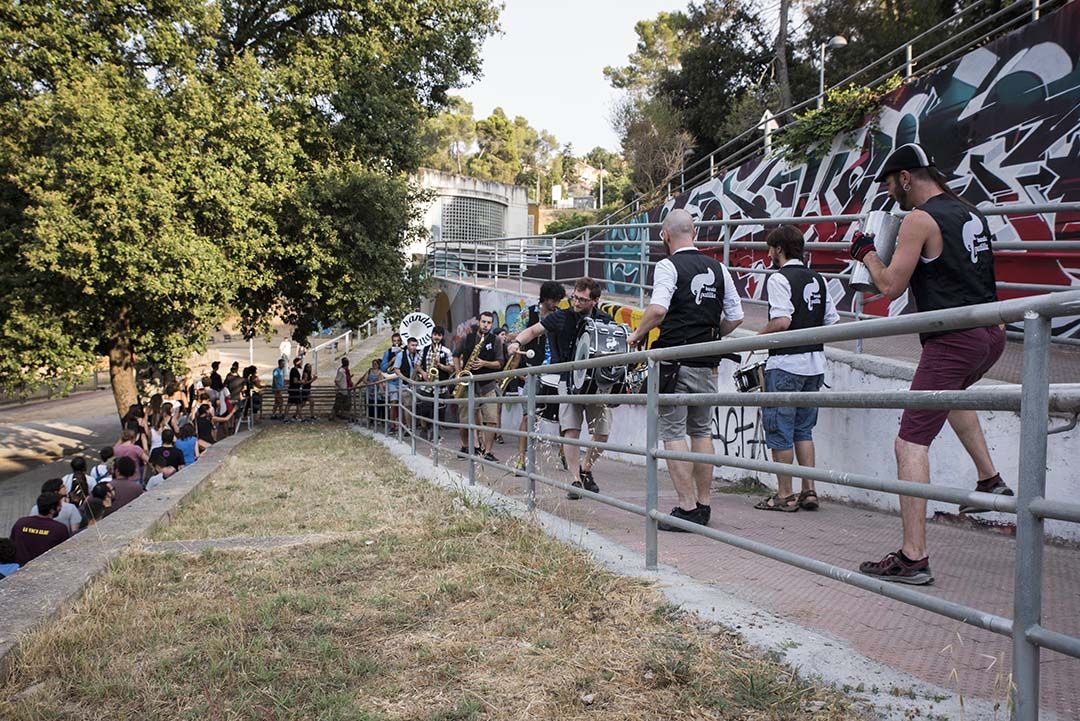 Cercatasques. Foto: Bernat Millet