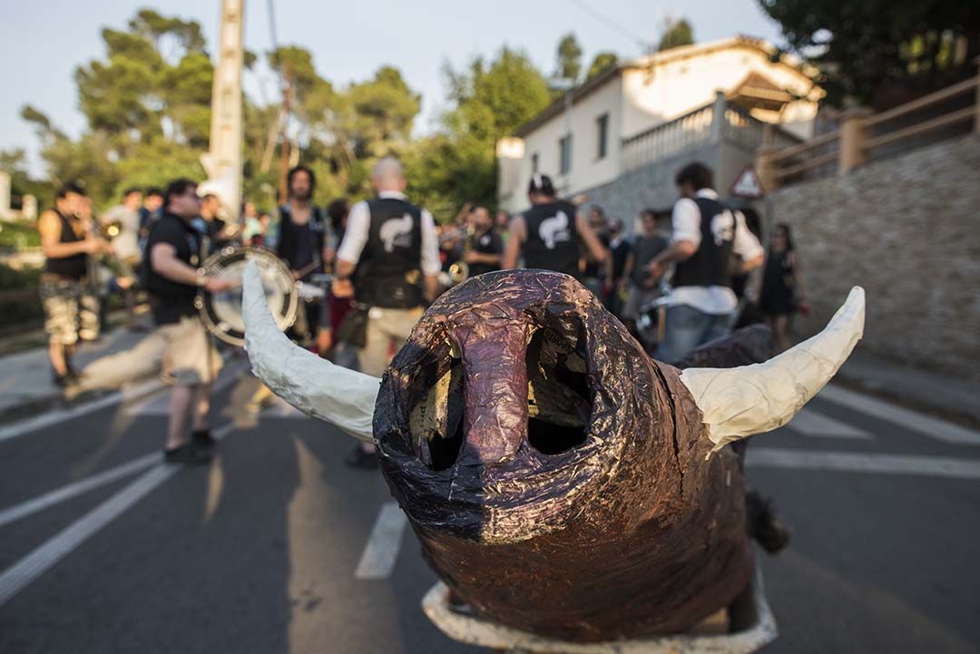 Cercatasques. Foto: Bernat Millet