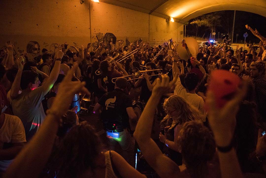 Cercatasques. Foto: Bernat Millet