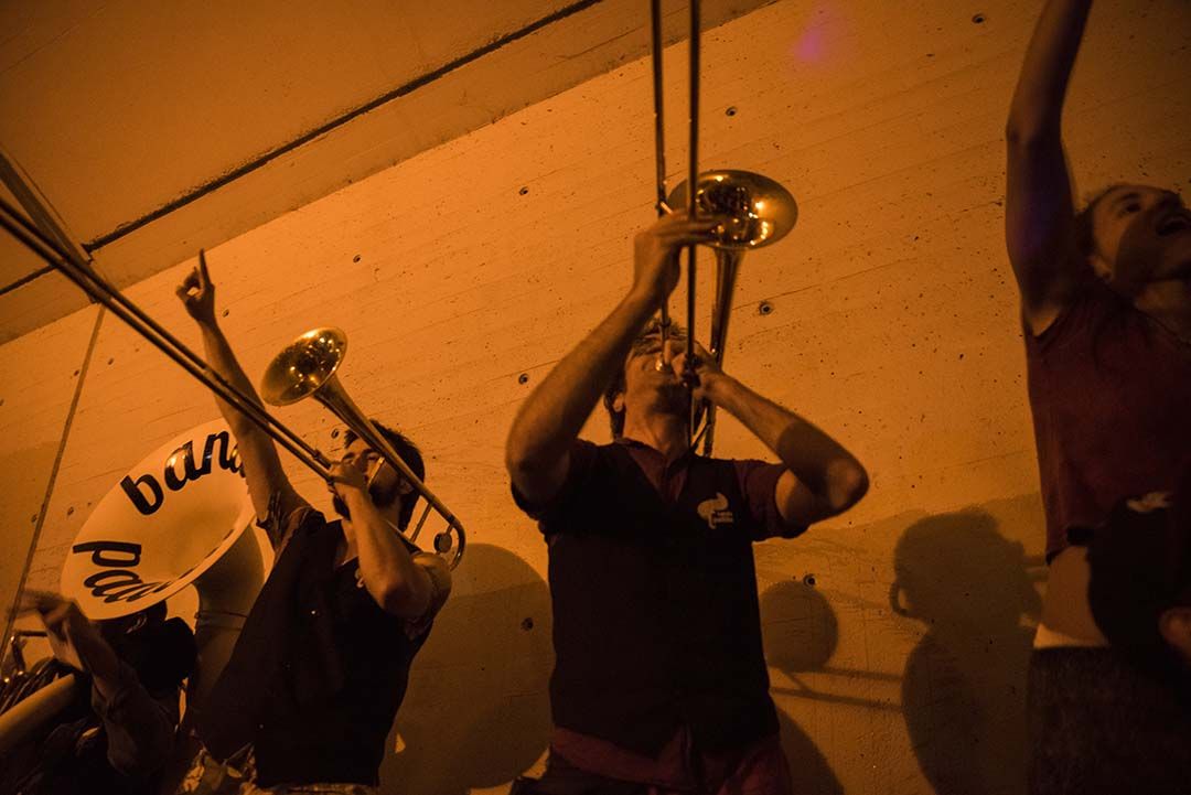 Cercatasques. Foto: Bernat Millet