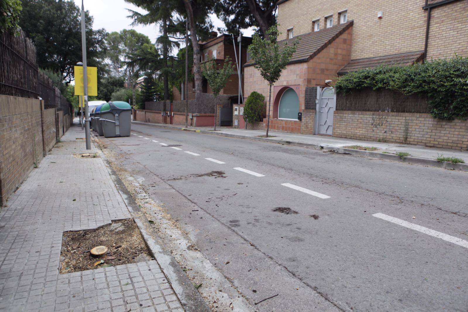 El carrer Sant Eduard després de la tala d'arbres FOTO: Artur Ribera
