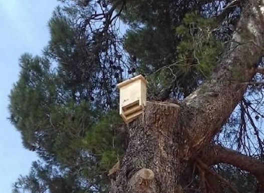 S'han ubicat quatre casetes al barri de Mira-sol. FOTO: Ajuntament de Sant Cugat