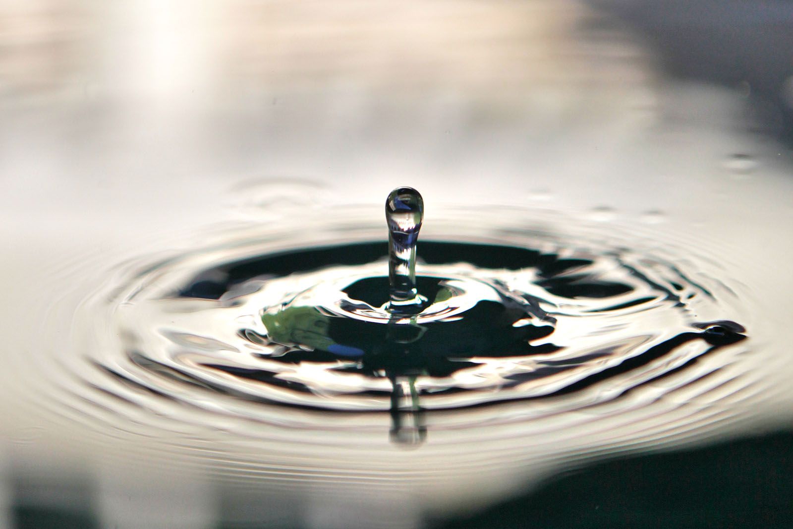 L'univers en una gota d'aigua FOTO: Artur Ribera 