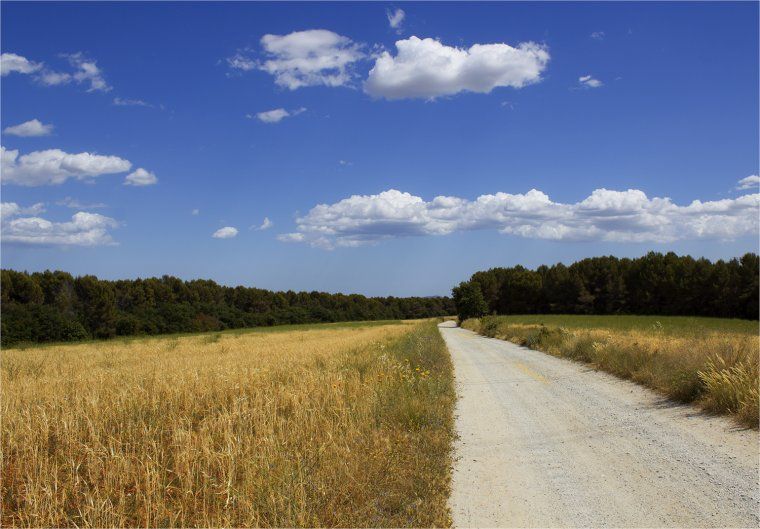 La via verda del cami dels monjos al seu pas per Terrassa FOTO: Marta Maseras 