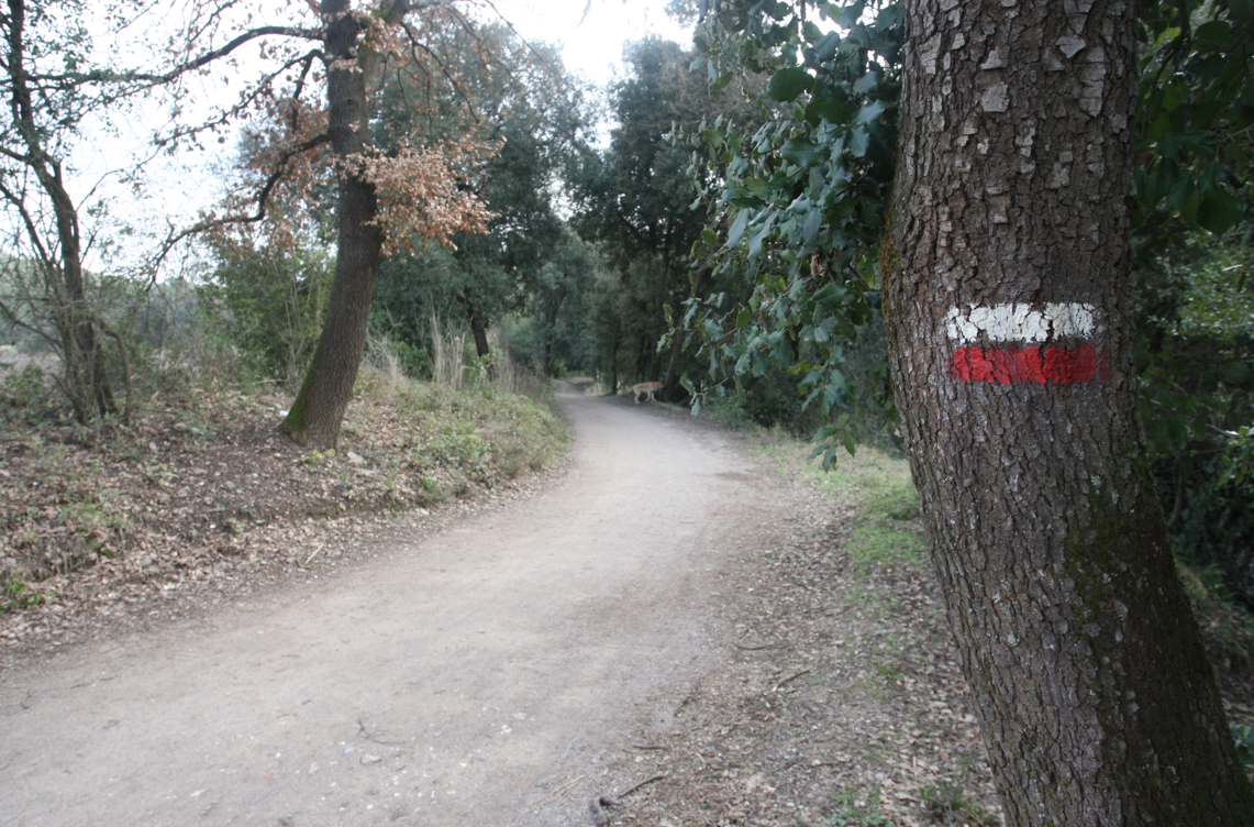 Els camins GR estan marcats amb senyals blanques i vermelles FOTO: Arxiu