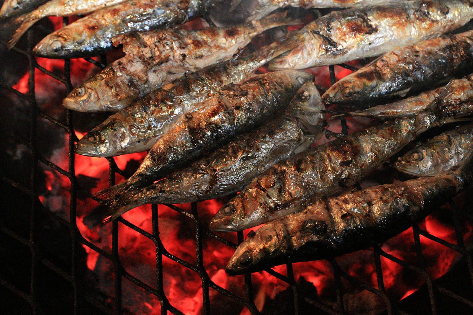 Festa Major de Valldoreix. Foto: Lali Álvarez