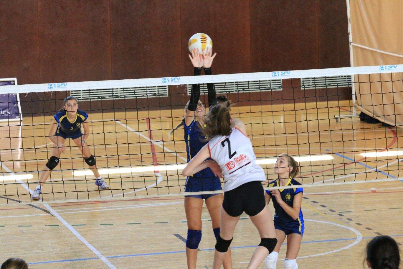 El DSV Club Voleibol Sant Cugat ha guanyat en les categories juvenil Or i Plata i cadet Plata. FOTO: Lali Álvarez