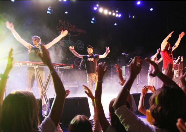 Imatge de Petits Camaleons 