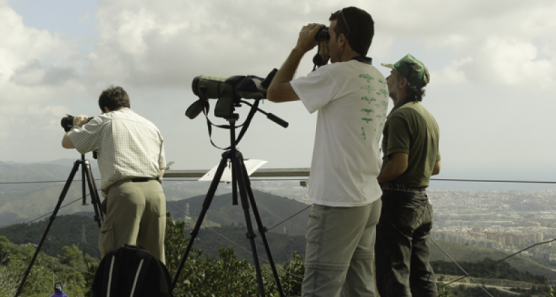 La Festa d'enguany vol homenatjar els aficionats a l'ornitologia FOTO: Parc de Collserola