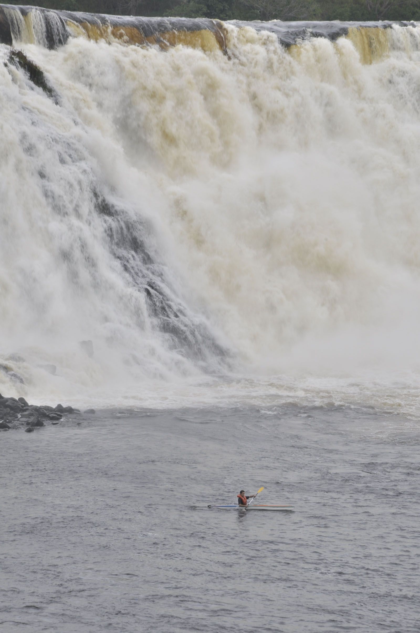 lesiliee lara   alli