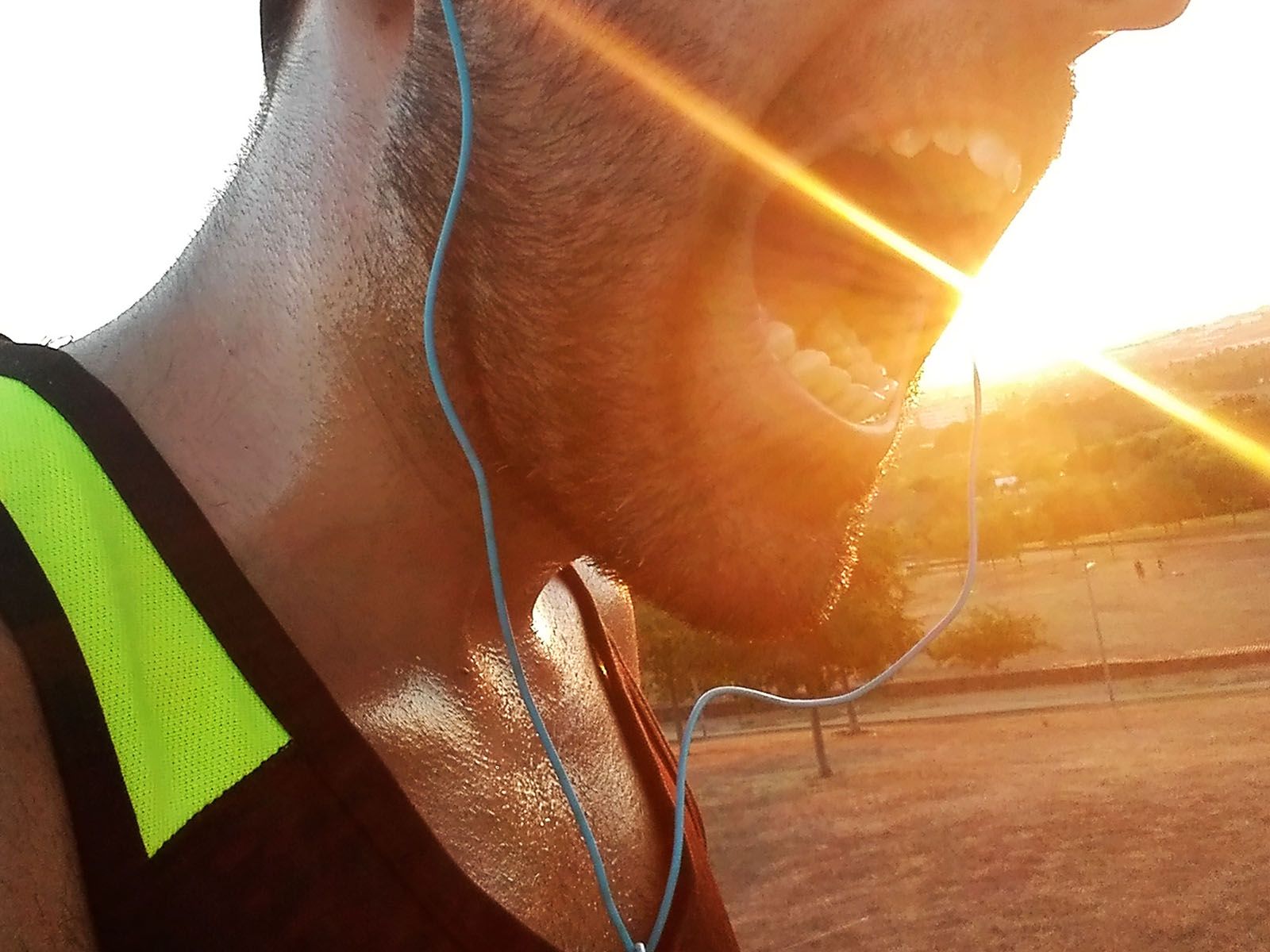 LUCAS GASSÓ FORTEZA   MOSSEGADA A L´ULTIM RAIG DE SOL