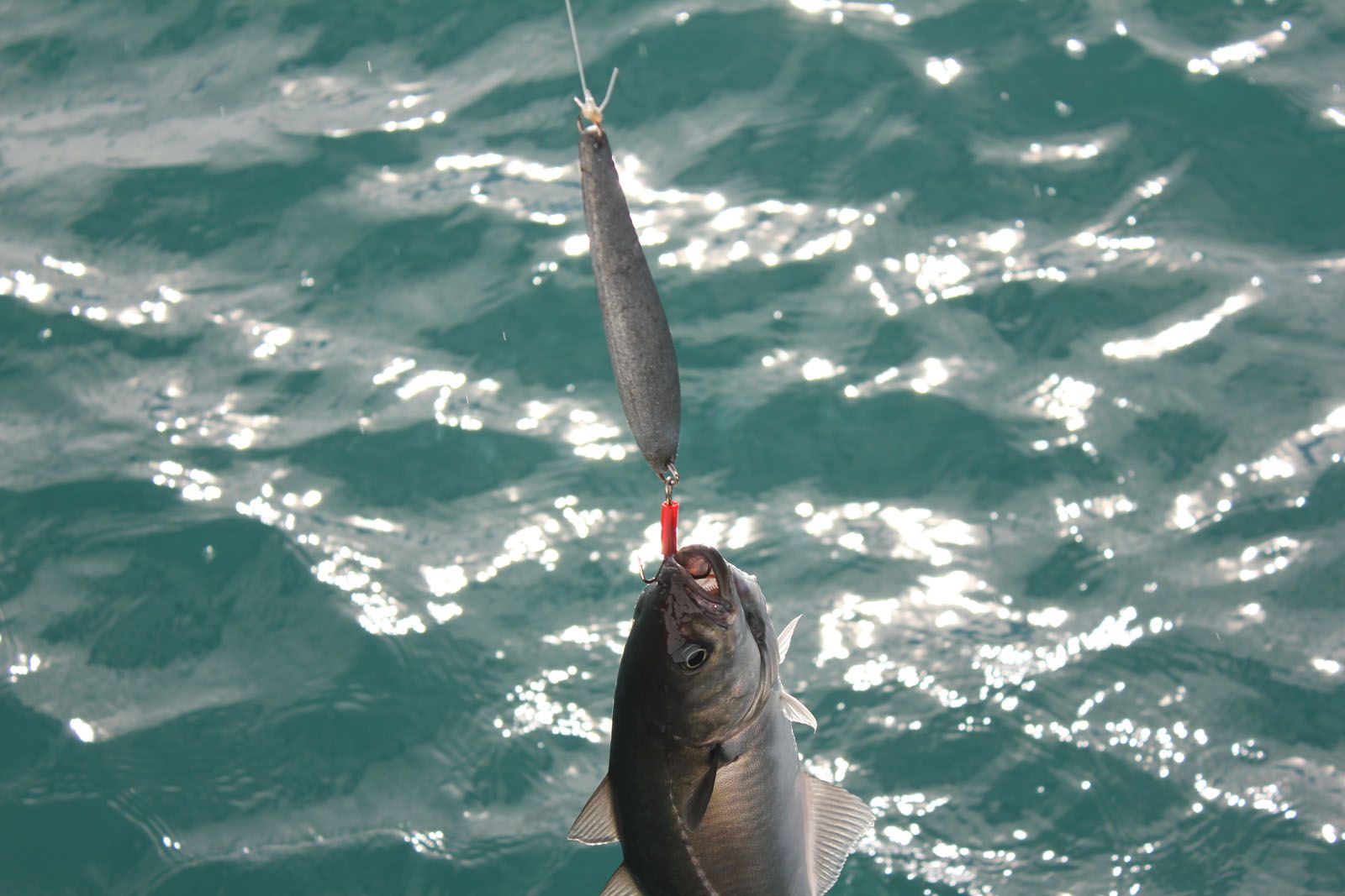 Pol Mas Soro   Pesca esportiva
