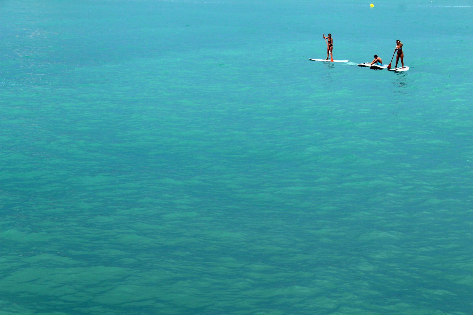 Rosa Ferreres Plans   Surfistes de rem