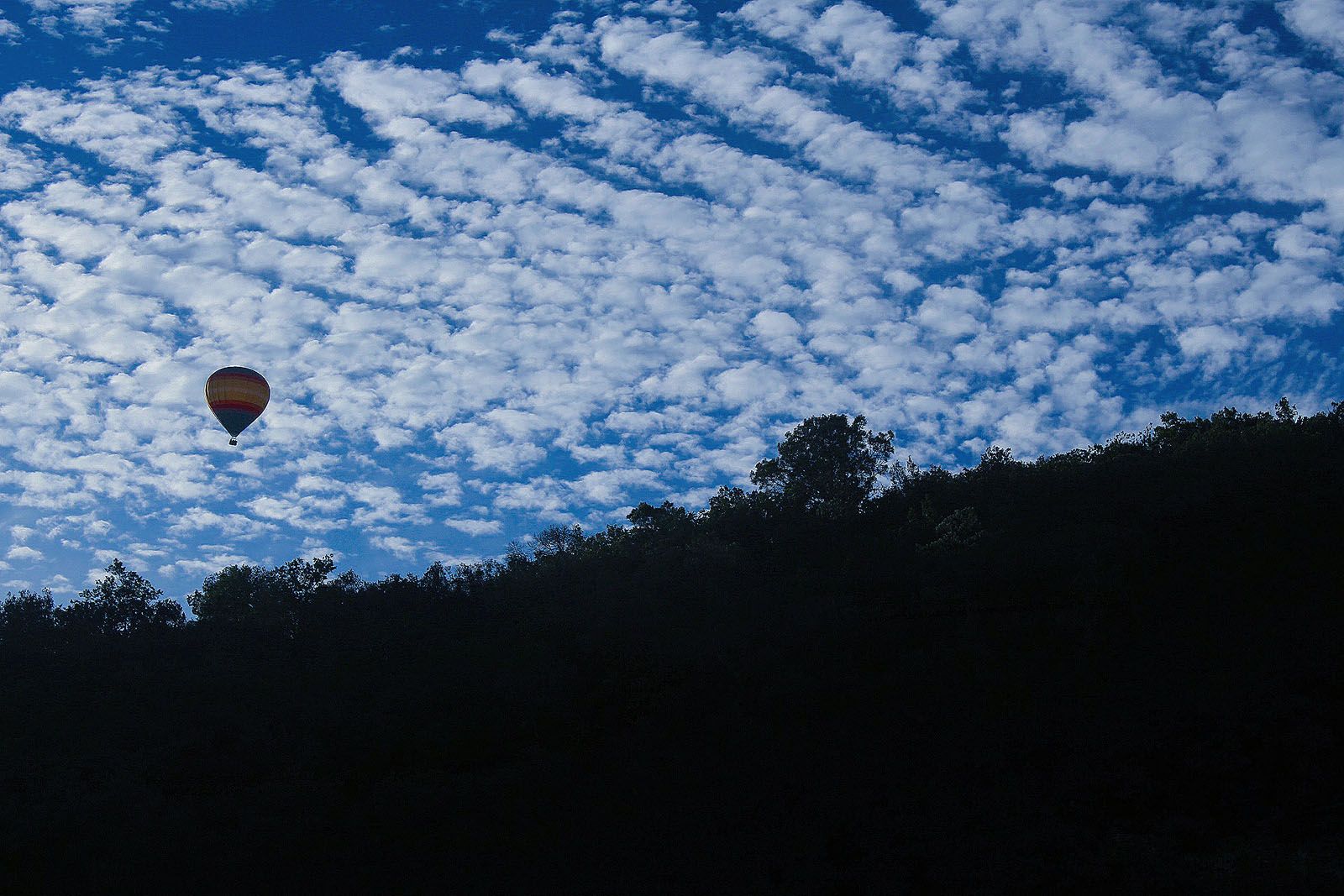 XAVIER MIRALLES SABADELL   Cel de cabretes