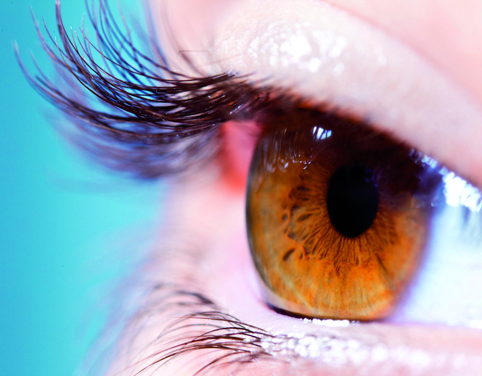 Davant de qualsevol molèstia dels ulls s’ha d’acudir a l’oftalmòleg
