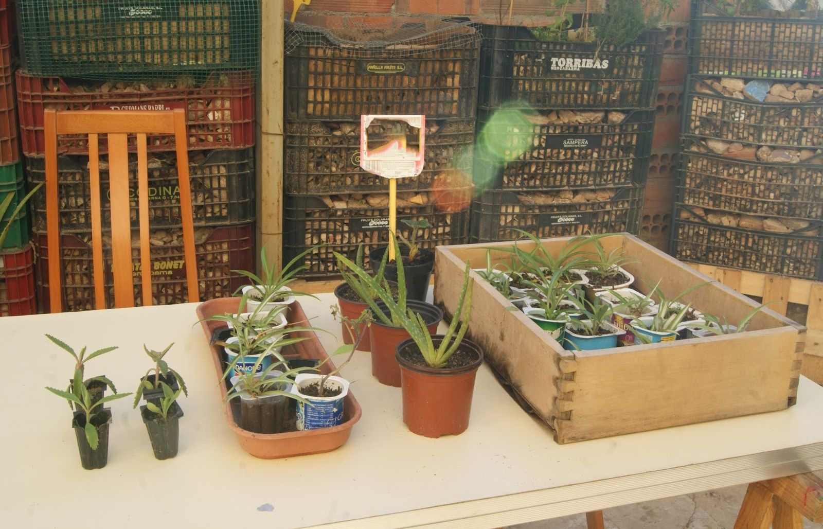 La fira ofereix activitats i tallers per a tots els públics relacionades amb el cultiu i manteniment de plantes FOTO: Cedida