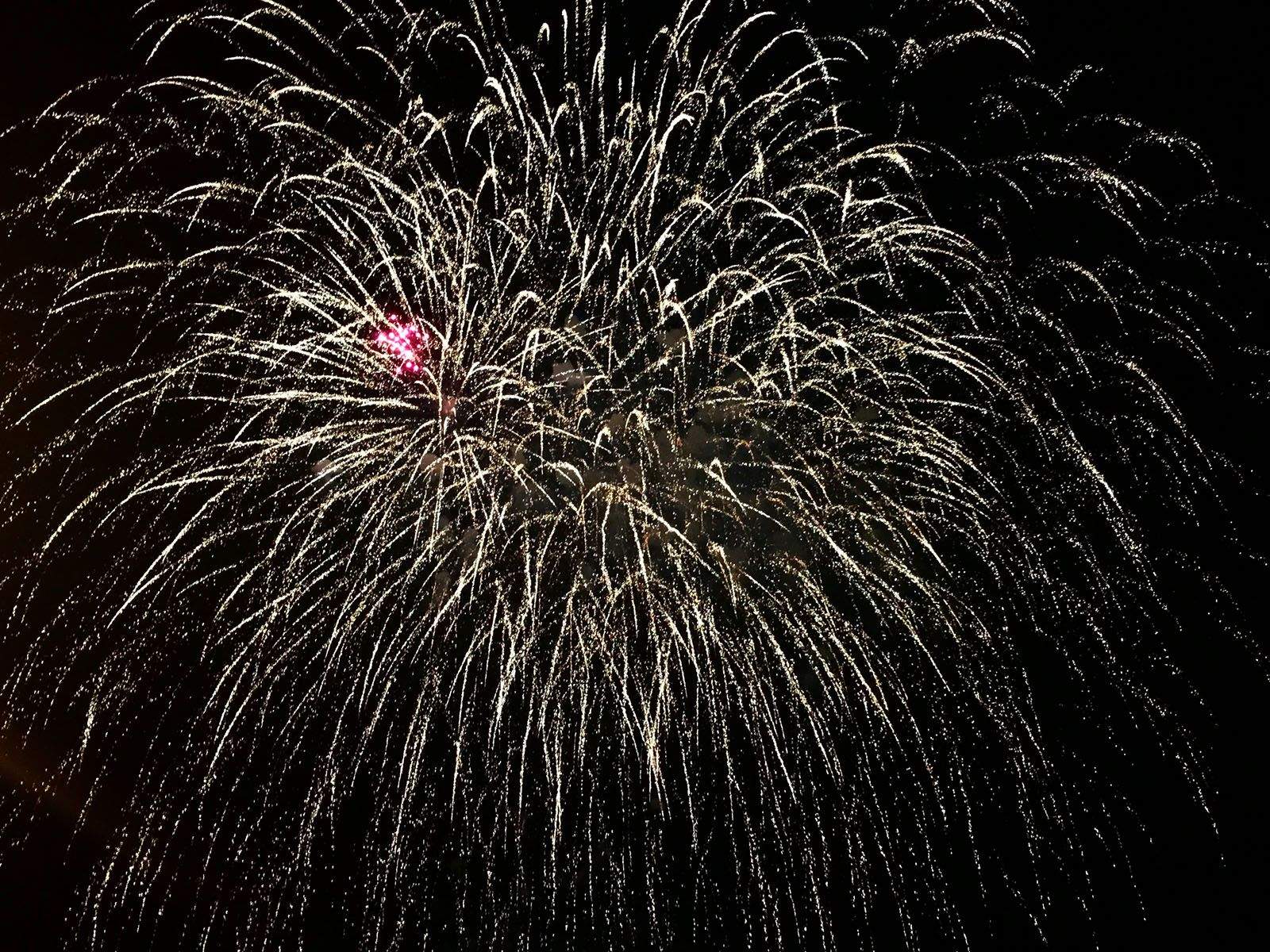 Adriana Fernández Campmany   Explosió de sentiments