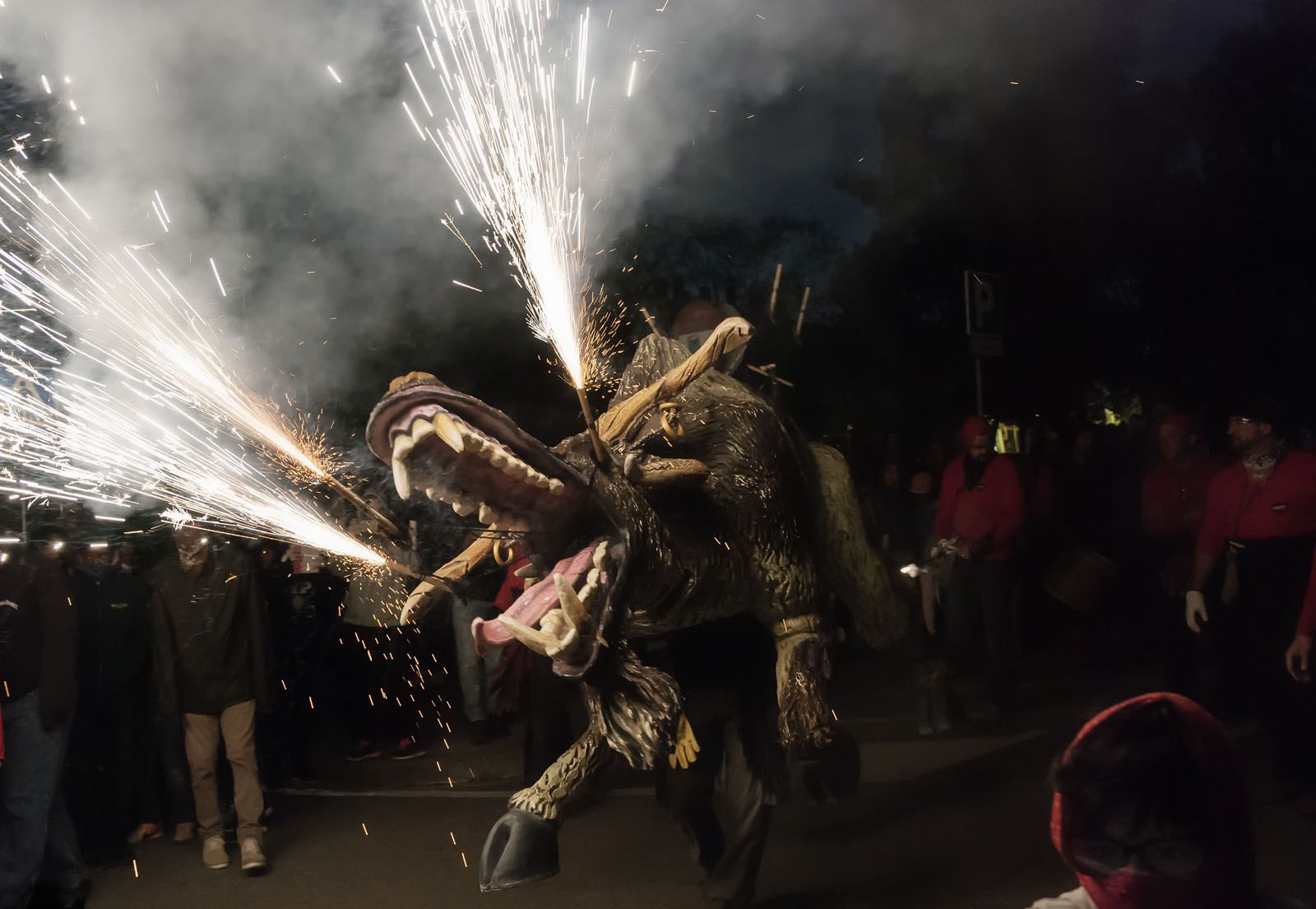 Salvador Solé Gómez   Boc de Can Vernet