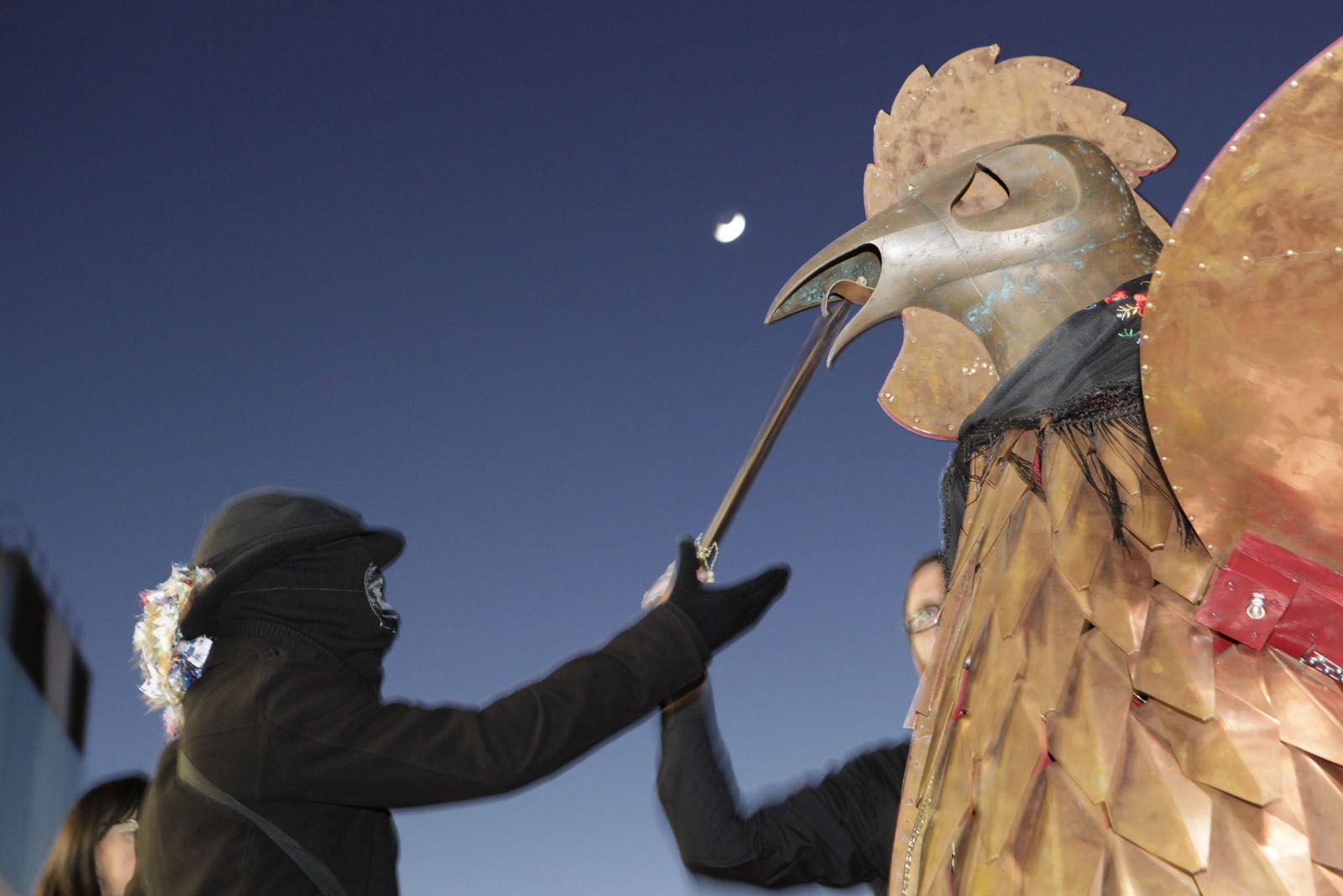 Durant els dies de Carnaval el Gall pren el poder de la ciutat FOTO: Artur Ribera 