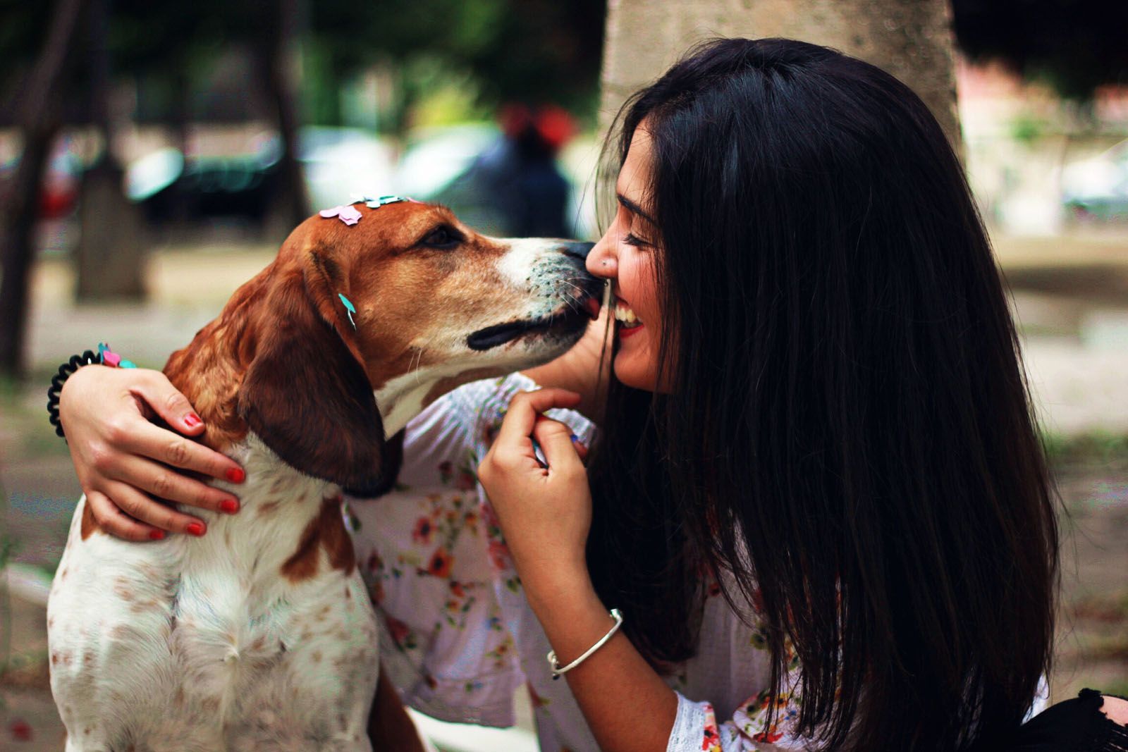 Andrea Raya Conesa   El llenguatge dels animals, la mirada