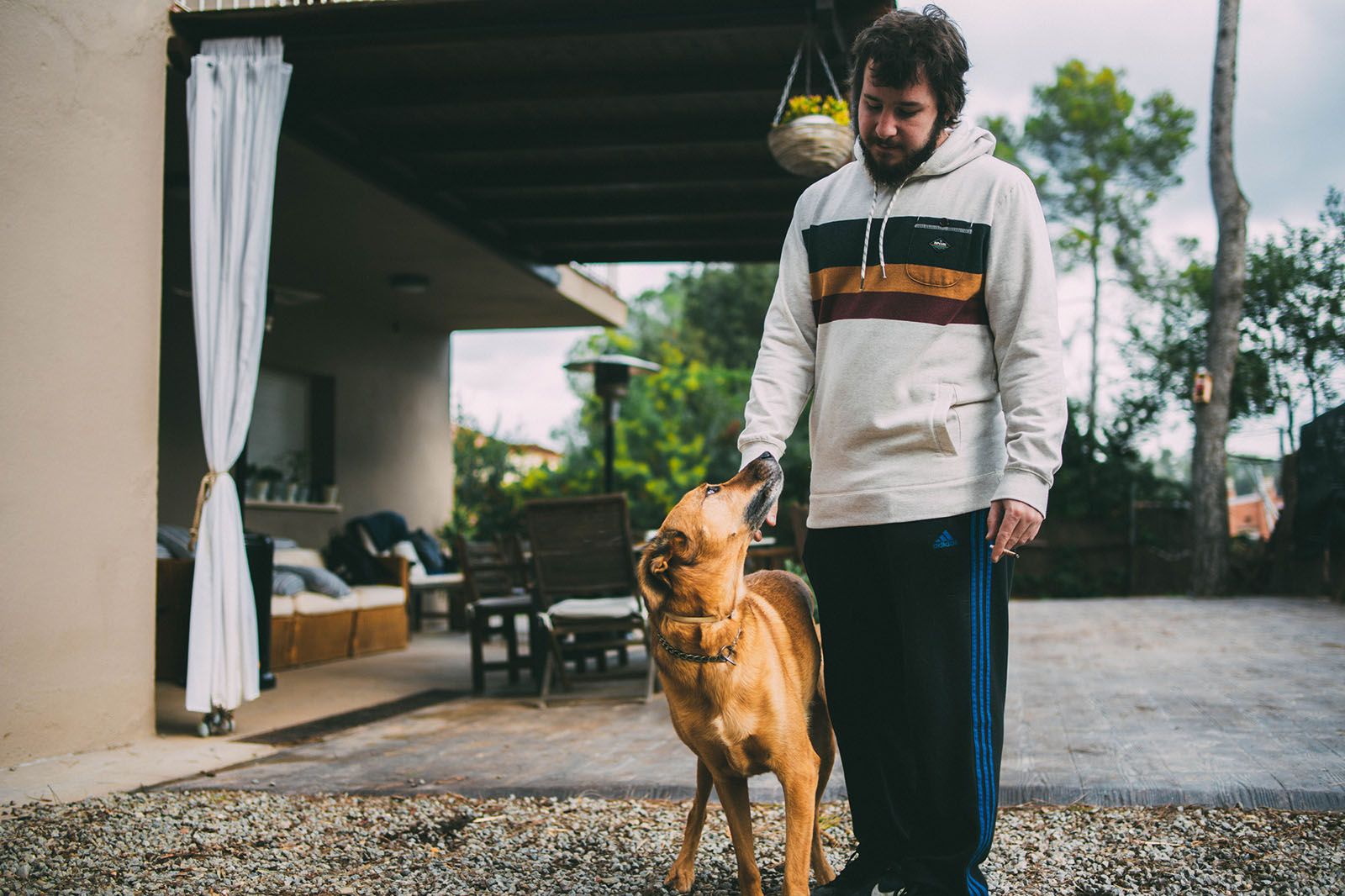 Antonia Anz   Miradas