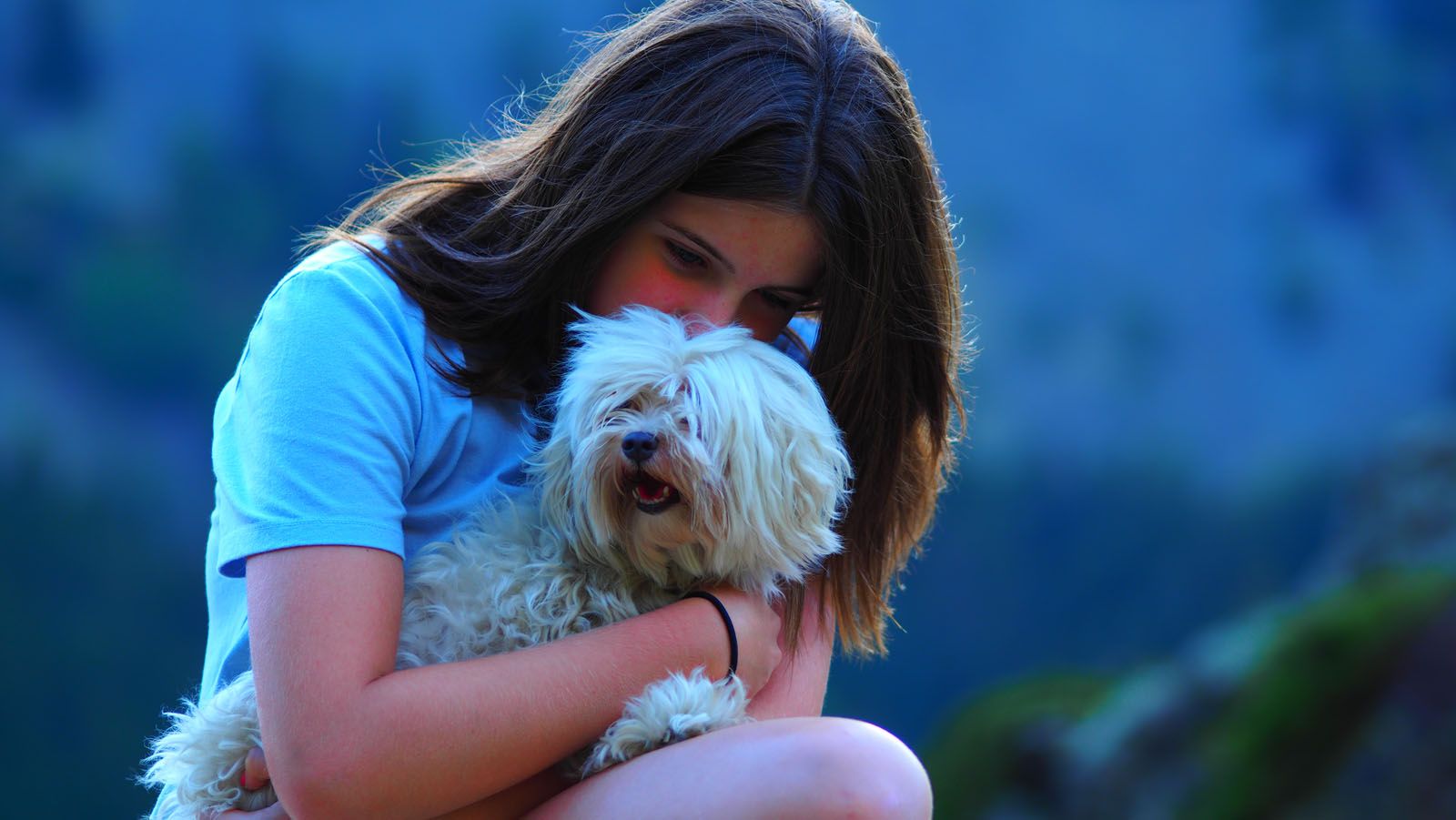 Carles Redondo Cabanas   Mimat