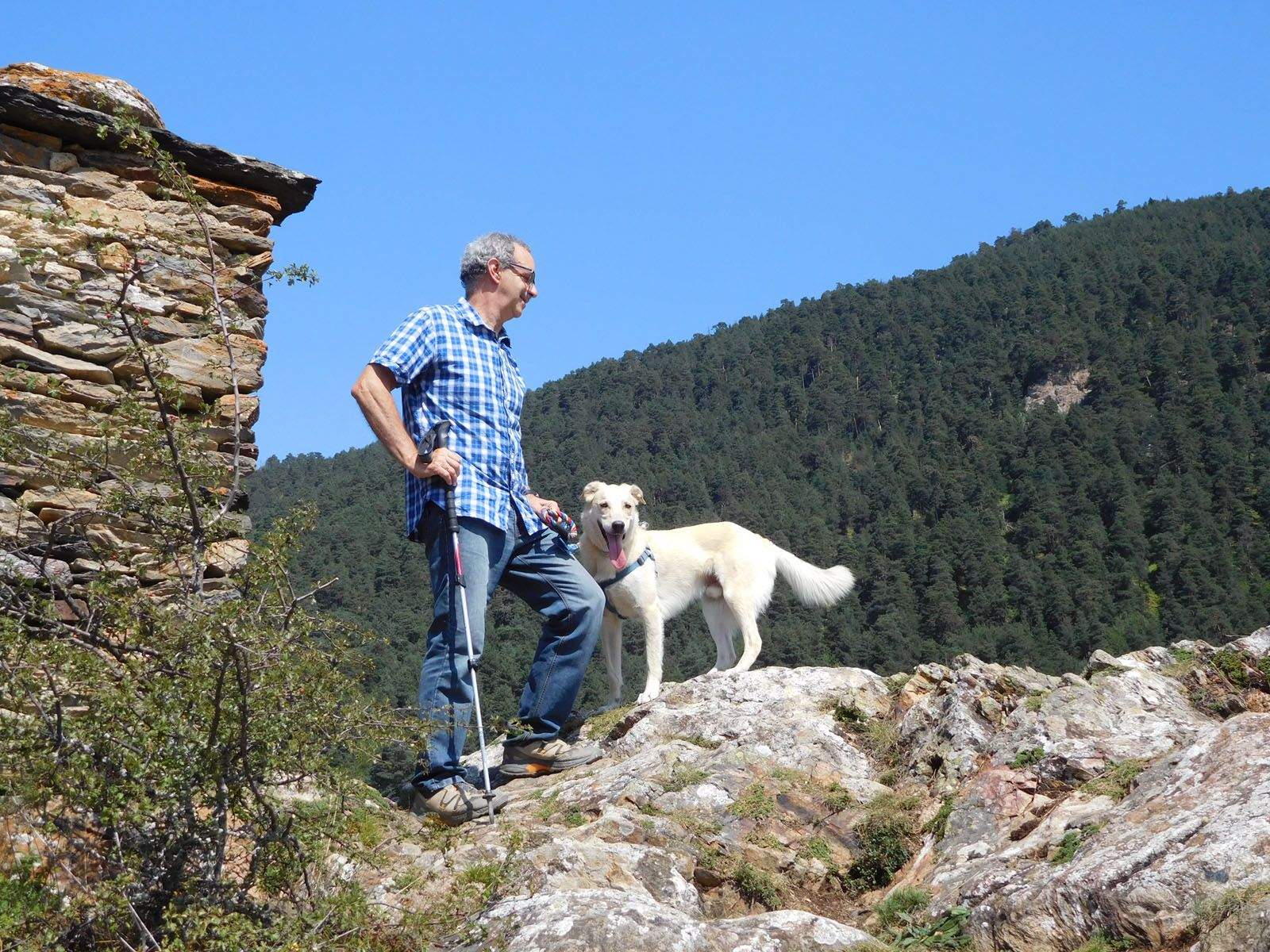 Irene Bendinelli   MASCOTA FENT EL CIM